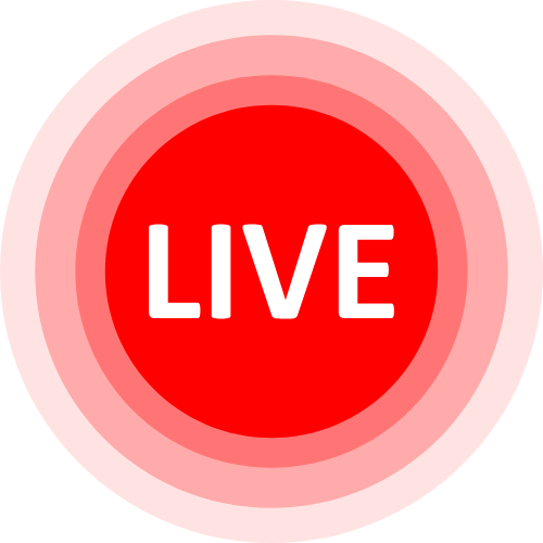 Bigvigina